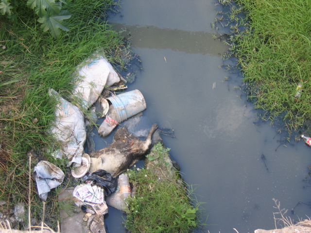 Waste water inflow to Lake Zapotlan